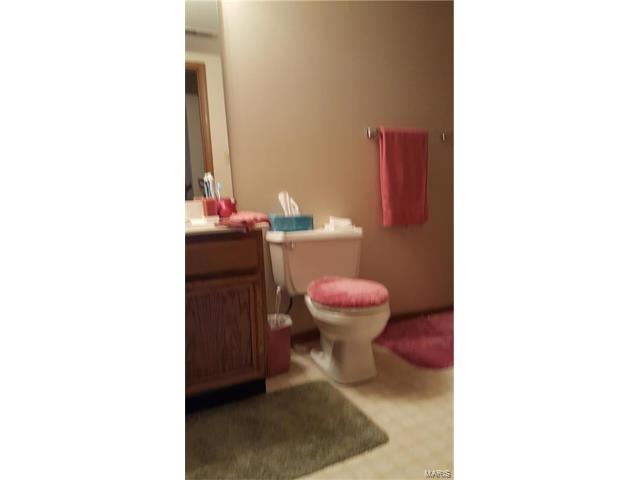 531 Audubon Pl, Ballwin, MO 63021 photo 27