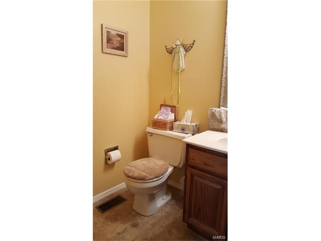531 Audubon Pl, Ballwin, MO 63021 photo 14
