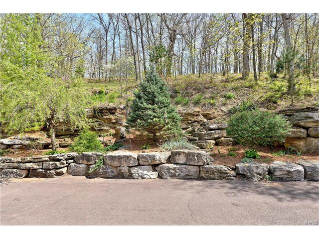 17328 Hidden Valley Dr, Eureka, MO 63025 photo 11