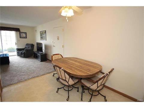2 Berview Cir #E, Saint Louis, MO 63129 photo 9