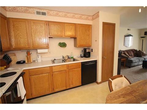 2 Berview Cir #E, Saint Louis, MO 63129 photo 10