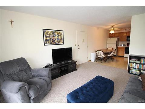 2 Berview Cir #E, Saint Louis, MO 63129 photo 5