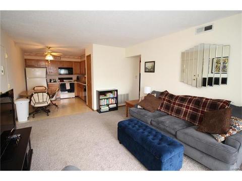 2 Berview Cir #E, Saint Louis, MO 63129 photo 6