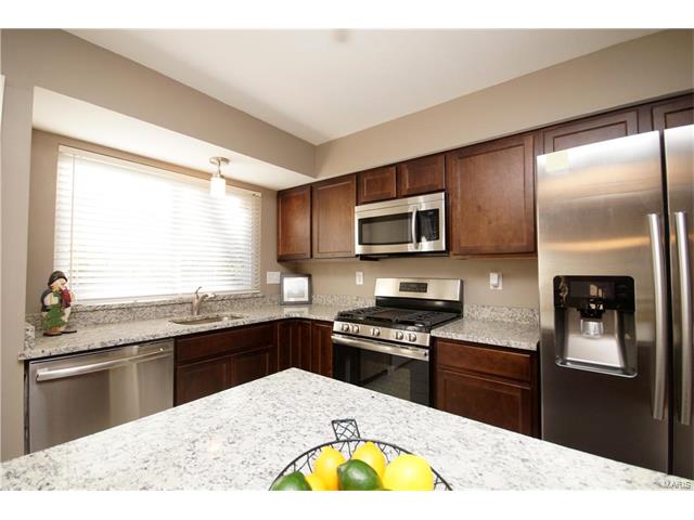 1140 Villaview Dr, Ballwin, MO 63021 photo 13