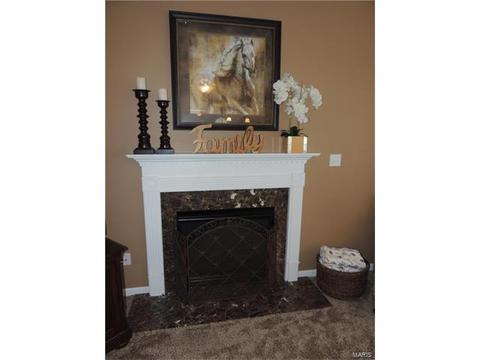 210 Fox Haven Ct, O'fallon, MO 63368 photo 46