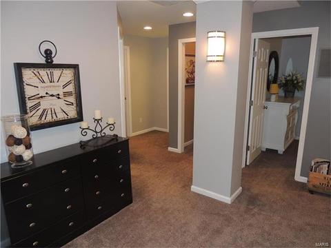 210 Fox Haven Ct, O'fallon, MO 63368 photo 73