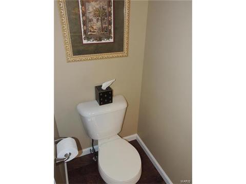 210 Fox Haven Ct, O'fallon, MO 63368 photo 15