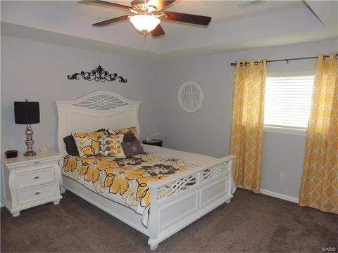 210 Fox Haven Ct, O'fallon, MO 63368 photo 32