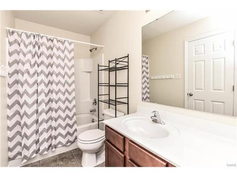 768 Grace View Ct, Eureka, MO 63025 photo 26