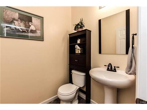 768 Grace View Ct, Eureka, MO 63025 photo 16