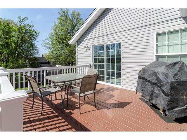 436 Brightfield Trl, Ballwin, MO 63021 photo 14