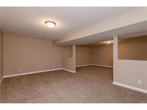 254 Hamel Ave, Hamel, IL 62046 photo 22