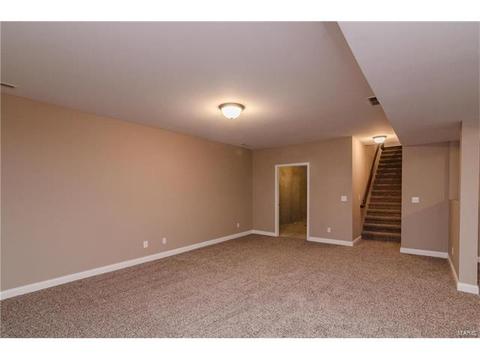 254 Hamel Ave, Hamel, IL 62046 photo 20