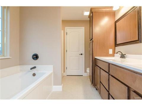 254 Hamel Ave, Hamel, IL 62046 photo 13