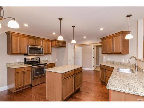254 Hamel Ave, Hamel, IL 62046 photo 9