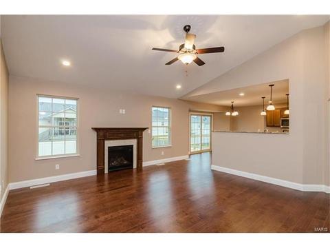 254 Hamel Ave, Hamel, IL 62046 photo 6