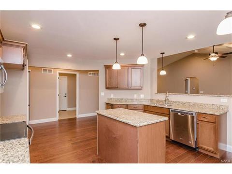 254 Hamel Ave, Hamel, IL 62046 photo 10