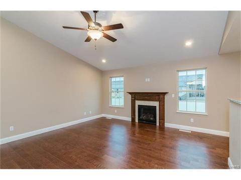 254 Hamel Ave, Hamel, IL 62046 photo 5