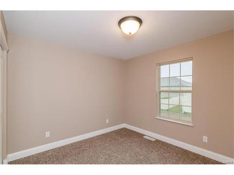 254 Hamel Ave, Hamel, IL 62046 photo 15