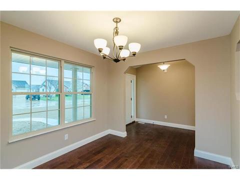 254 Hamel Ave, Hamel, IL 62046 photo 4