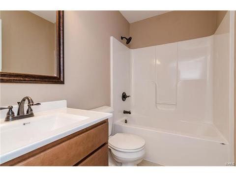 254 Hamel Ave, Hamel, IL 62046 photo 14