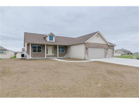 254 Hamel Ave, Hamel, IL 62046 photo 23