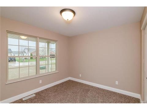 254 Hamel Ave, Hamel, IL 62046 photo 17