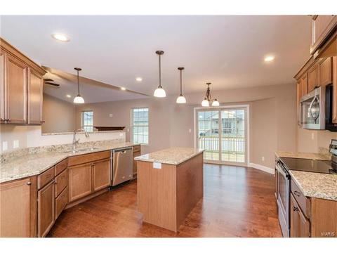254 Hamel Ave, Hamel, IL 62046 photo 11
