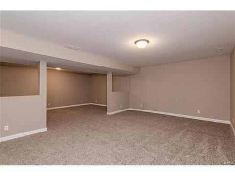 254 Hamel Ave, Hamel, IL 62046 photo 19