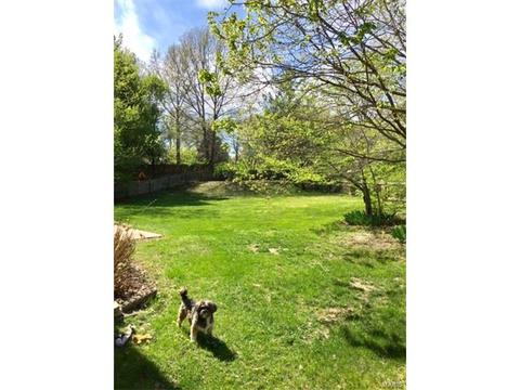 823 Barbara Ann, Ellisville, MO 63021 photo 17