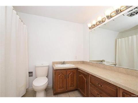 1076 Highway P, O'fallon, MO 63366 photo 13