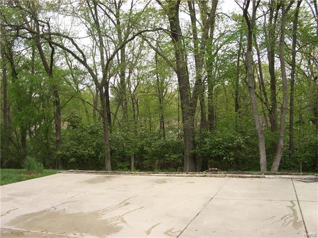 808 Hollyridge Dr, Ballwin, MO 63011 photo 44