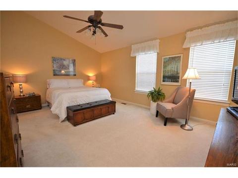 6958 Clayborne Dr, O'fallon, MO 63368 photo 22