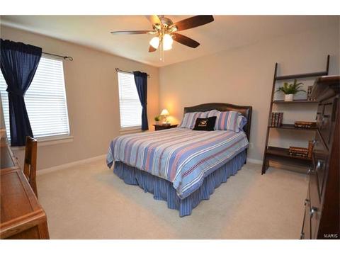 6958 Clayborne Dr, O'fallon, MO 63368 photo 29