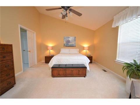 6958 Clayborne Dr, O'fallon, MO 63368 photo 23