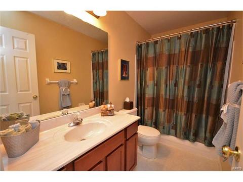 6958 Clayborne Dr, O'fallon, MO 63368 photo 30
