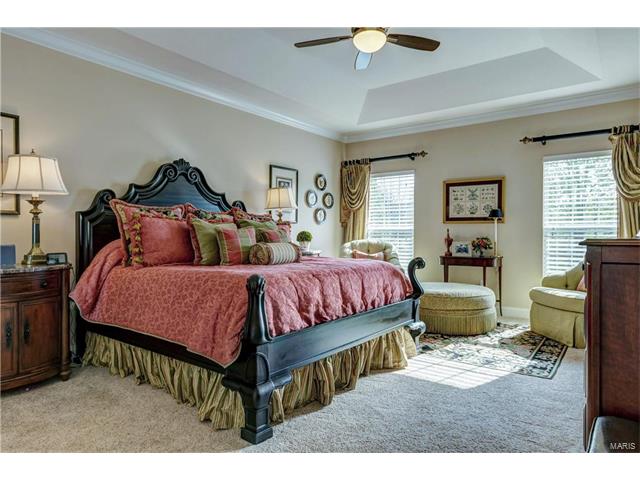 572 Trevi Ln, Ballwin, MO 63011 photo 20