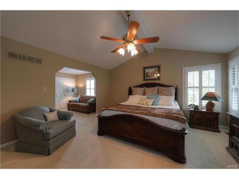 145 Newgrange Pass, Weldon Spring, MO 63304 photo 23