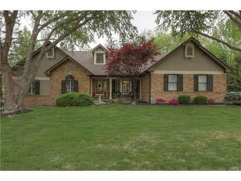 145 Newgrange Pass, Weldon Spring, MO 63304 photo 1