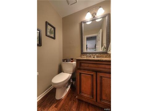 145 Newgrange Pass, Weldon Spring, MO 63304 photo 19