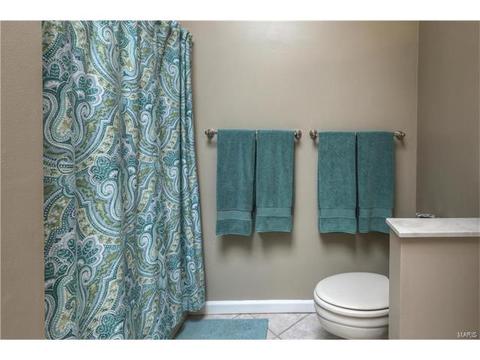 145 Newgrange Pass, Weldon Spring, MO 63304 photo 25