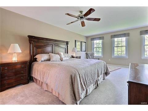 310 Fox Hollow Woods, Ballwin, MO 63021 photo 19
