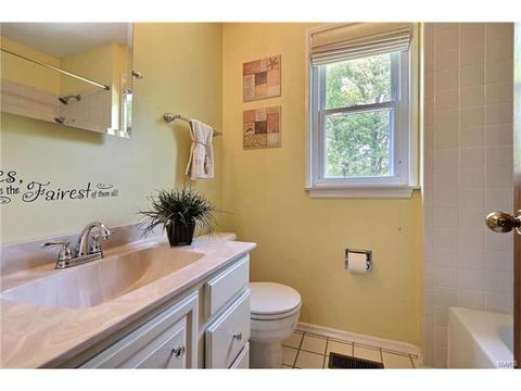 310 Fox Hollow Woods, Ballwin, MO 63021 photo 26