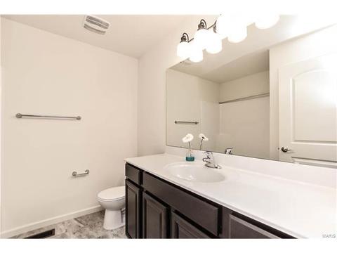 848 Fred Kemp Ct, Ballwin, MO 63021 photo 32