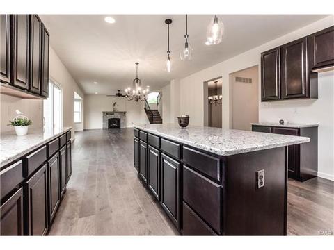 848 Fred Kemp Ct, Ballwin, MO 63021 photo 16