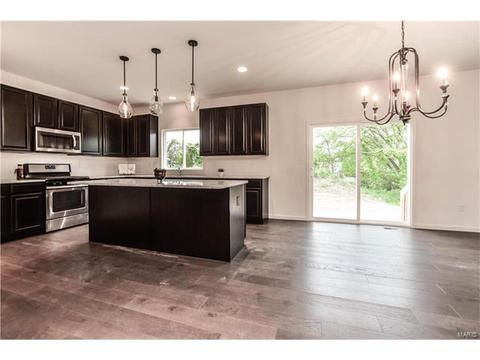 848 Fred Kemp Ct, Ballwin, MO 63021 photo 17