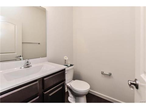 848 Fred Kemp Ct, Ballwin, MO 63021 photo 23
