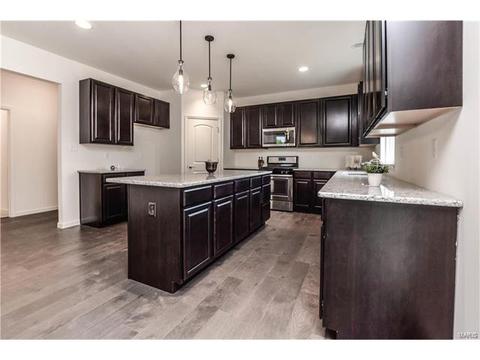 848 Fred Kemp Ct, Ballwin, MO 63021 photo 12