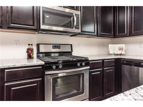 848 Fred Kemp Ct, Ballwin, MO 63021 photo 14