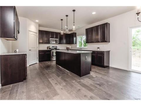 848 Fred Kemp Ct, Ballwin, MO 63021 photo 11